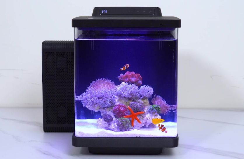 海享说鱼缸好吗