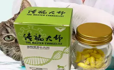 传福大师怎么卖 传福大师怎么卖