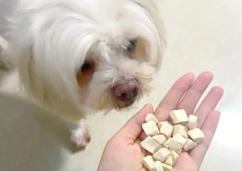 佐尔顿宠物冻干好不好? 佐尔顿宠物冻干好不好?
