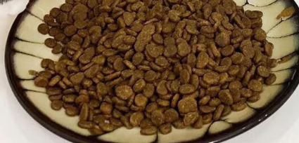 修正猫粮好不好用？