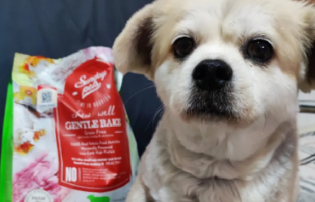 sundaypets狗粮属于什么档次