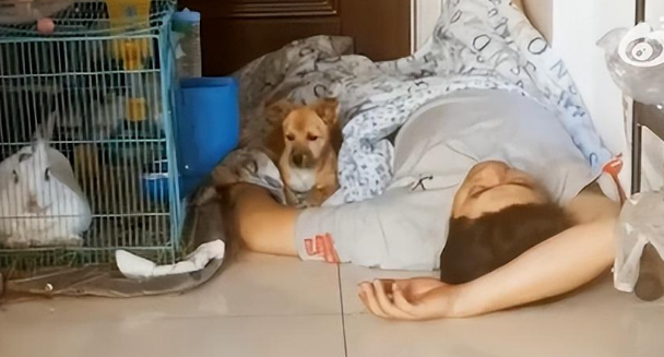 救命，老公喝完酒就绑架小狗回家是什么毛病呀？