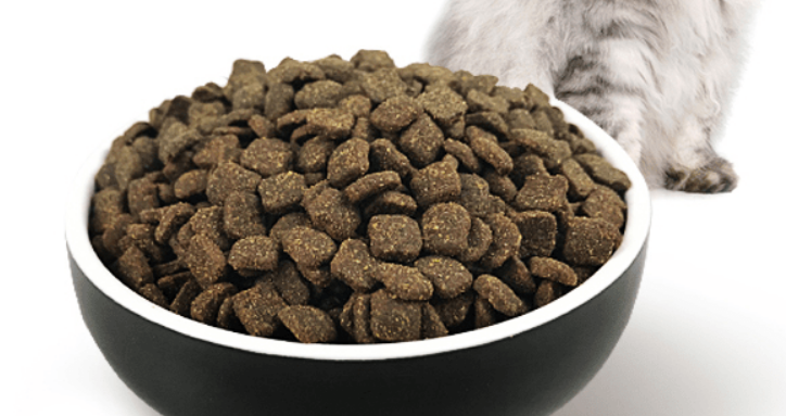 奥百思猫粮怎么去代理呢? 奥百思猫粮怎么去代理呢?