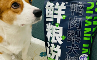 鲜粮说属于什么档次