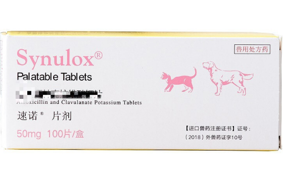 猫感冒了吃速诺有用吗 猫感冒了吃速诺有用吗