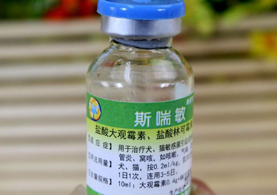 宠物消炎药有哪些？