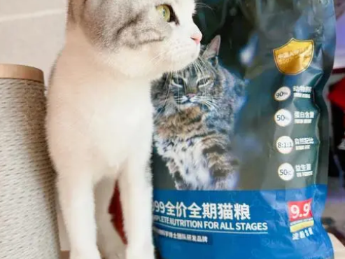 petalk宠心语猫粮怎么样 petalk宠心语猫粮怎么样