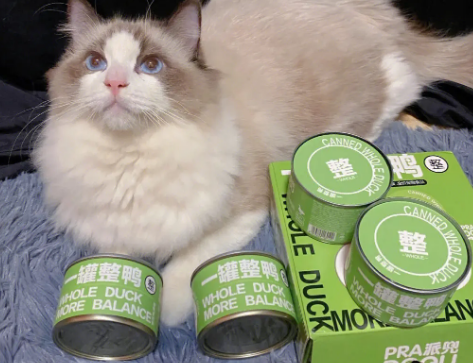 毛兀猫罐到底好不好