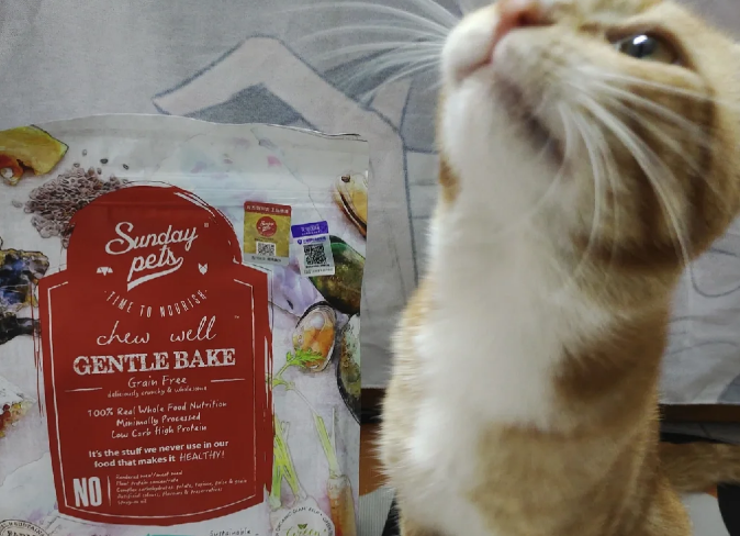 sundaypets猫粮好吗
