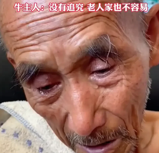 大爷烈日下耕地回家发现牛累死了，牛主人没追究老人责任:太可怜