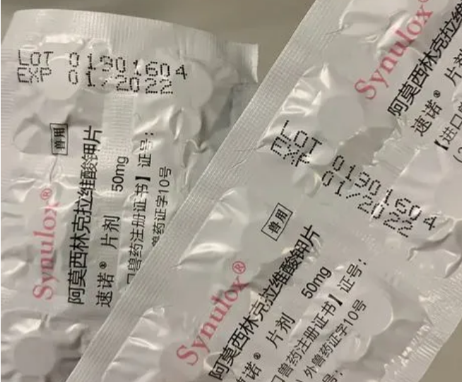 速诺片有哪些优势?我来告诉你答案!-宠物网