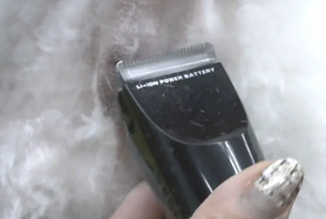 神宝宠物电推剪好用吗?来看看吧 神宝宠物电推剪好用吗?来看看吧