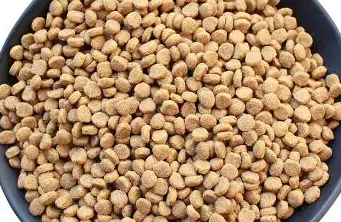 匠粮时代猫粮:一款值得推荐的高品质猫粮 匠粮时代猫粮:一款值得推荐的高品质猫粮