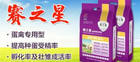 蛋鸡保健福星——赛之星