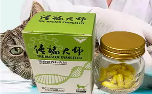 传福大师