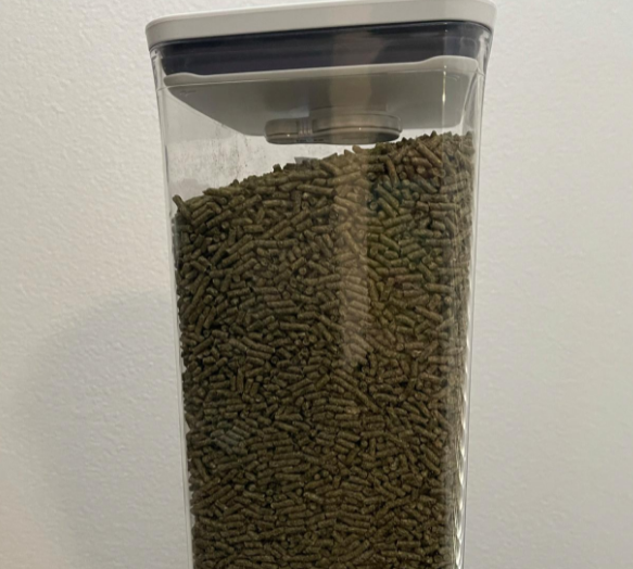 干货教学|如何养肥龙猫?龙猫饮食如何搭配 干货教学|如何养肥龙猫?龙猫饮食如何搭配