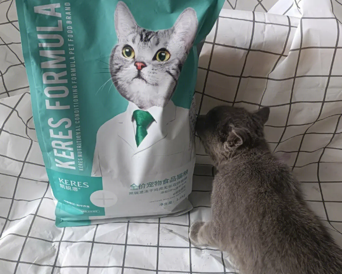 凯锐思猫粮怎么样值得买吗 凯锐思猫粮怎么样值得买吗