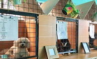 宠物寄养合同备注区如何填写