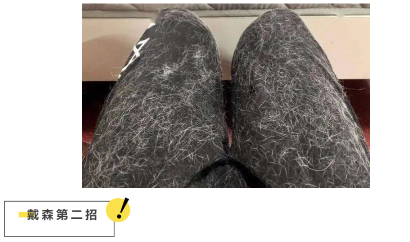 掉毛竟成遗弃猫咪一大主因?这题其实很好解…… 掉毛竟成遗弃猫咪一大主因?这题其实很好解……