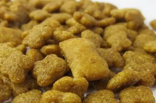 朗吉猫粮是安全粮吗 朗吉猫粮是安全粮吗