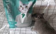凯锐思猫粮怎么样值得买吗