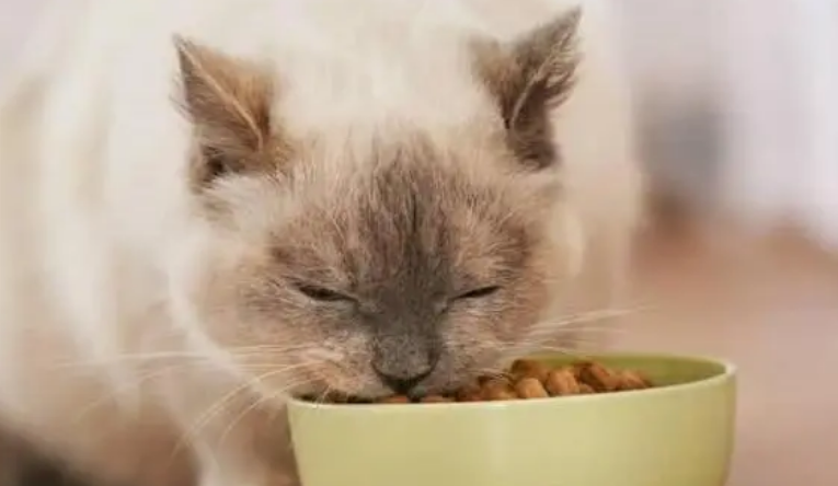 贝特鲱猫粮的保质期长吗？