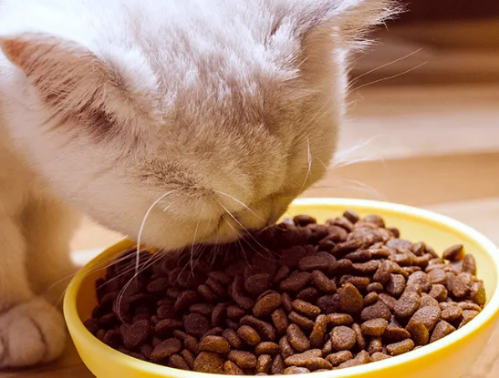 开味嘉猫粮好不好?来看这里~ 开味嘉猫粮好不好?来看这里~