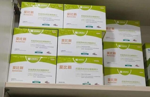 莫比新一天吃多少