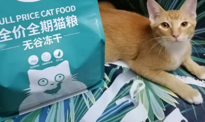 千宠世家是个啥牌子 千宠世家是个啥牌子