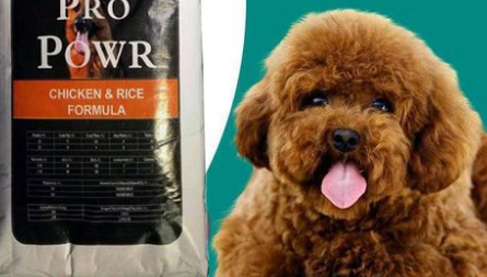 如何给巨贵幼犬选择狗粮呢