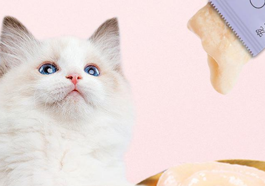 汪崽福猫条是什么档次?一起来看看吧 汪崽福猫条是什么档次?一起来看看吧
