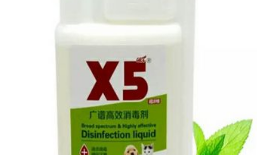 广谱x5消毒液可以对宠物消毒吗？来了解下吧