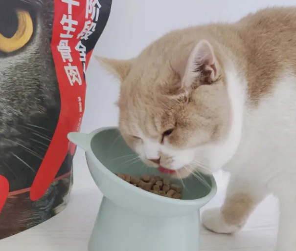 莱野猫粮怎么样?不妨来看看吧 莱野猫粮怎么样?不妨来看看吧