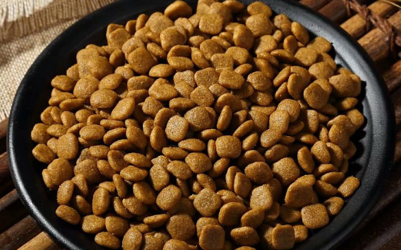 咪咖狗粮属于什么档次?喂食要注意什么? 咪咖狗粮属于什么档次?喂食要注意什么?