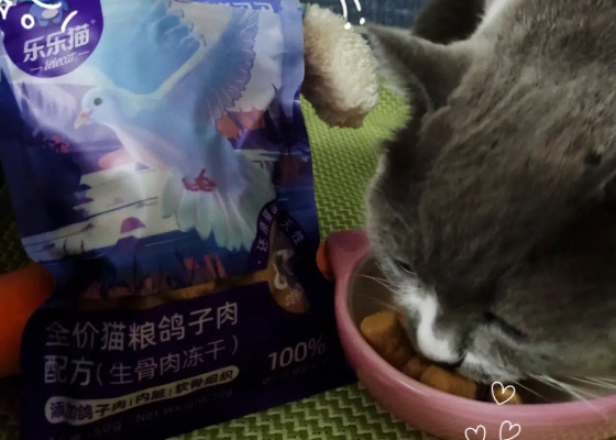 乐乐猫猫粮怎么样 乐乐猫猫粮怎么样