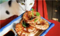 请问猫可以吃虾吗