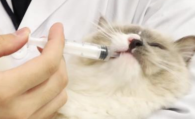 弗尔莱葆有用吗? 弗尔莱葆有用吗?