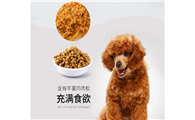如何给泰迪犬做狗粮驱虫啊
