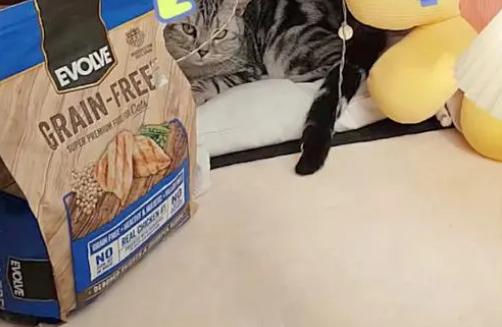 亿沃猫粮到底怎么样 亿沃猫粮到底怎么样