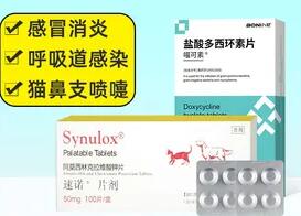 速诺和多西环素片能一起吃吗