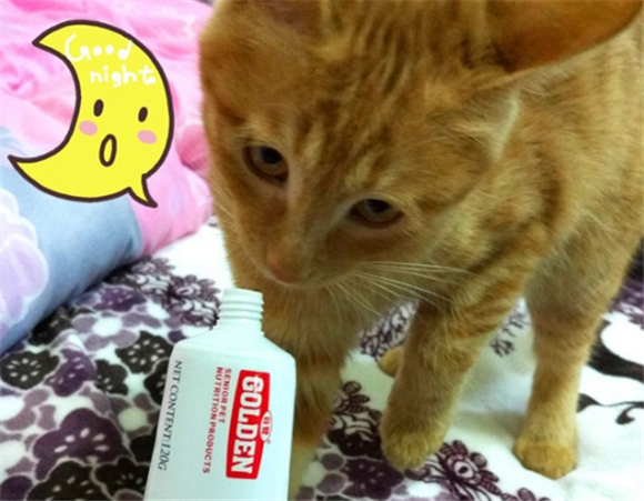 洛帕化毛膏能给怀孕猫用吗 洛帕化毛膏能给怀孕猫用吗