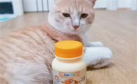 人吃的维生素b猫能吃吗