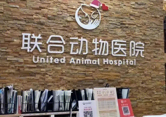联合宠物医院怎么样?来看看吧 联合宠物医院怎么样?来看看吧
