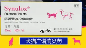 猫吃速诺好还是小儿阿莫西林 猫吃速诺好还是小儿阿莫西林