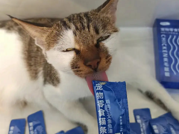 猫小条猫条贵吗 猫小条猫条贵吗