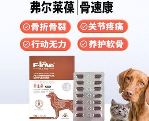 弗尔莱葆骨速康有用吗
