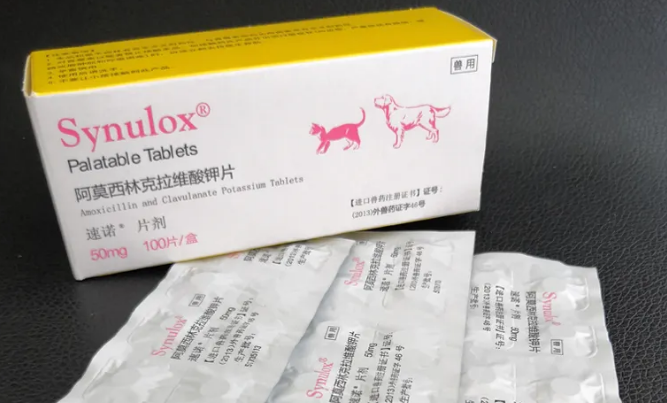 宠物速诺可以随便吃吗 宠物速诺可以随便吃吗