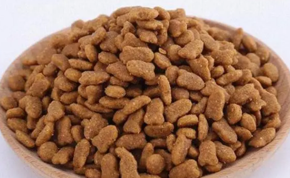 爱贝猫粮：养猫新手的最佳选择