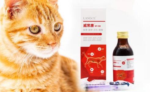 威常康孕猫能吃吗 威常康孕猫能吃吗