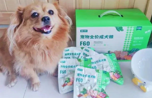 小仙豆狗粮斜对面老杨测评 小仙豆狗粮斜对面老杨测评